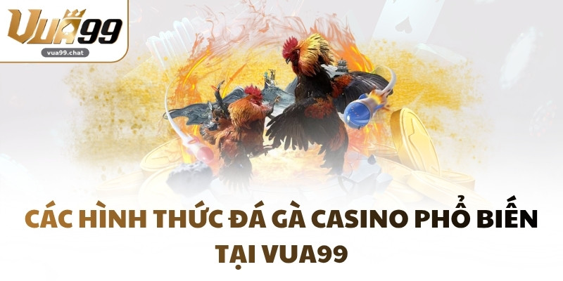Các hình thức Đá Gà Casino phổ biến tại VUA99