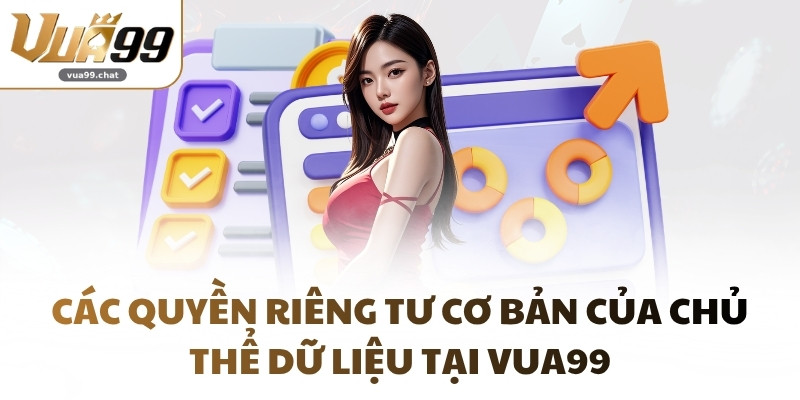 Các quyền riêng tư cơ bản của chủ thể dữ liệu tại VUA99