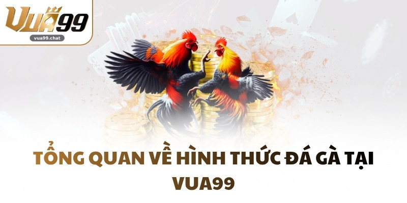 Tổng quan về hình thức Đá Gà tại VUA99